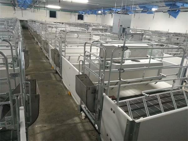 连栋薄膜温室工程建设