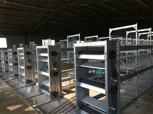 拱棚/日光温室工程建设