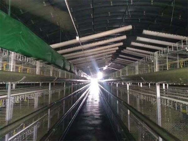 球型温室工程建设