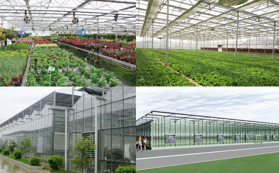 玻璃温室建设