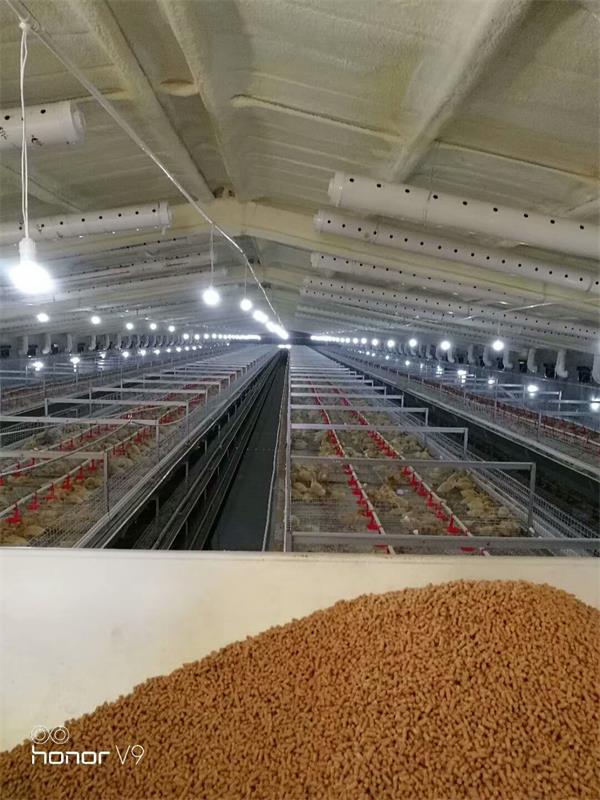 肉鸭自动化全套设备