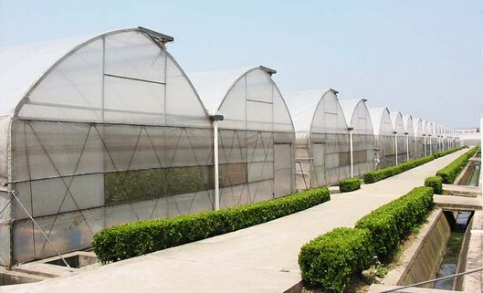 连栋温室建设都有哪些优势？