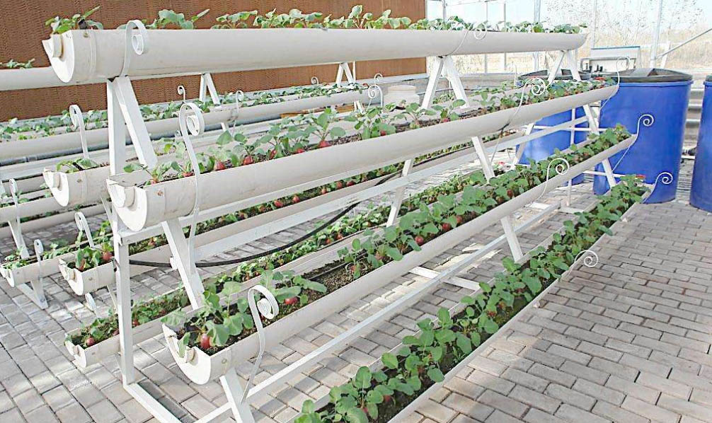 智能温室建设升温设备及降温设备介绍