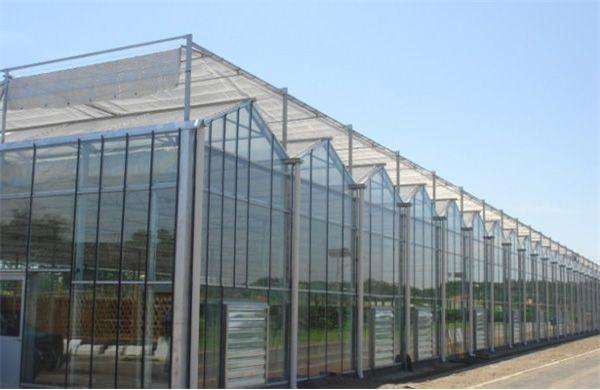 连栋温室建设都有哪些要求？