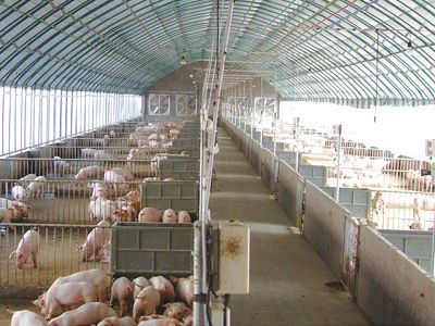 自动化全套设备