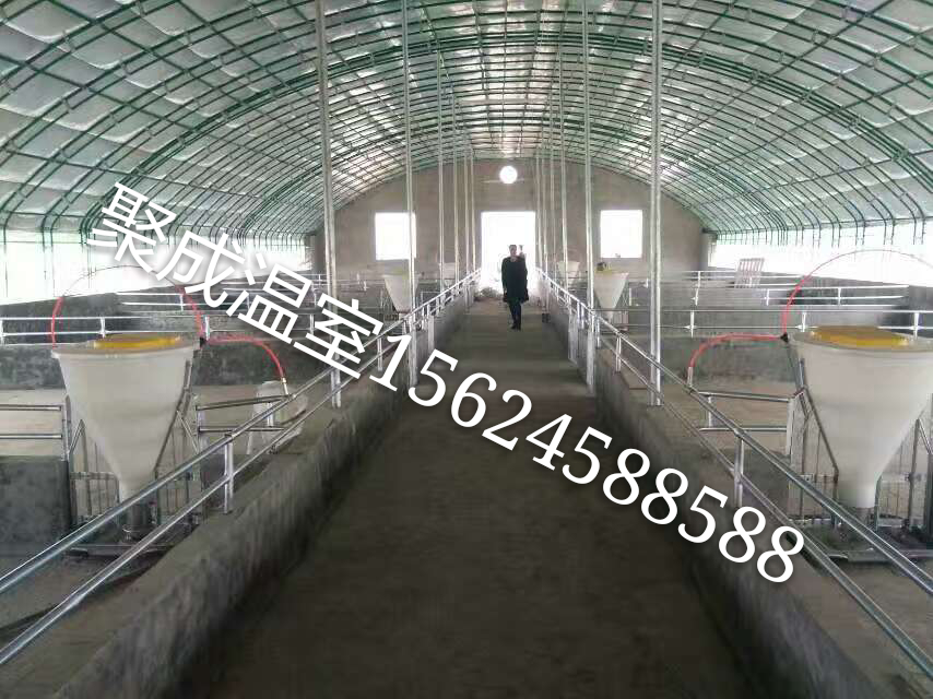 智能温室建设案例