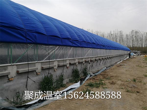 花卉养殖大棚建设